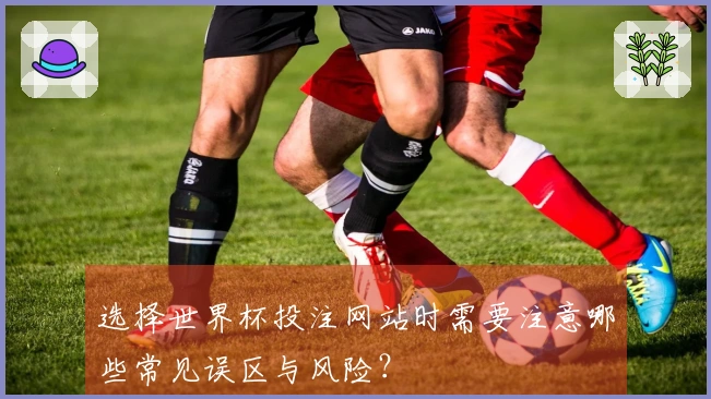 选择世界杯投注网站时需要注意哪些常见误区与风险？