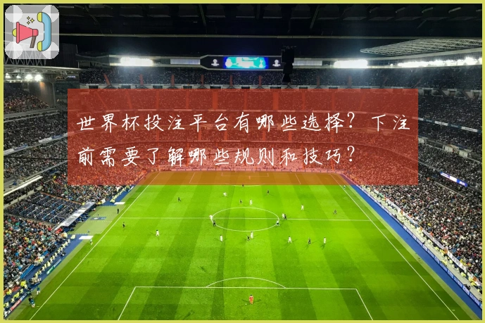 世界杯投注平台有哪些选择？下注前需要了解哪些规则和技巧？