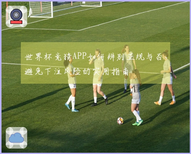 世界杯竞猜APP如何辨别正规与否，避免下注风险的实用指南