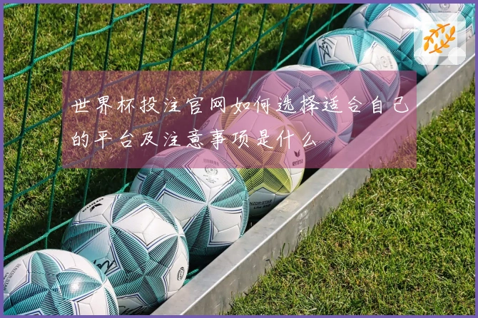 世界杯投注官网如何选择适合自己的平台及注意事项是什么