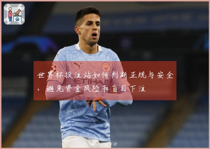 世界杯投注站如何判断正规与安全，避免资金风险和盲目下注