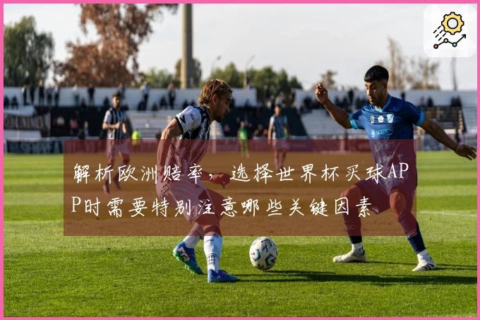 解析欧洲赔率，选择世界杯买球APP时需要特别注意哪些关键因素