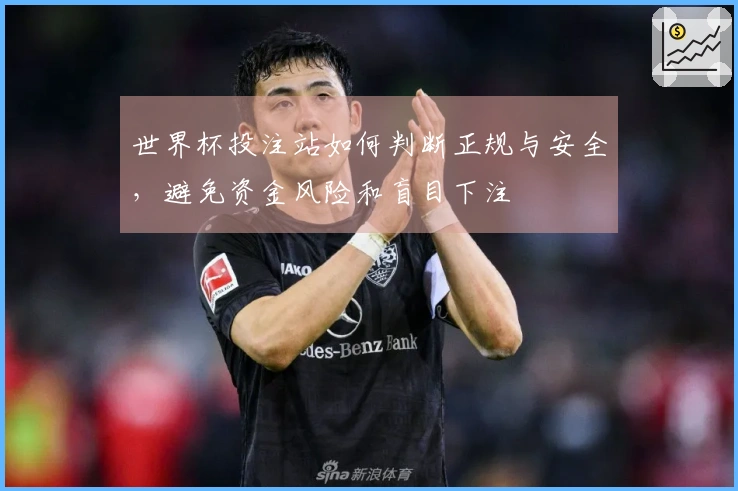 世界杯投注站如何判断正规与安全，避免资金风险和盲目下注