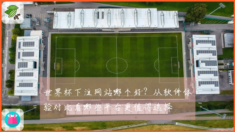 世界杯下注网站哪个好？从软件体验对比看哪些平台更值得选择