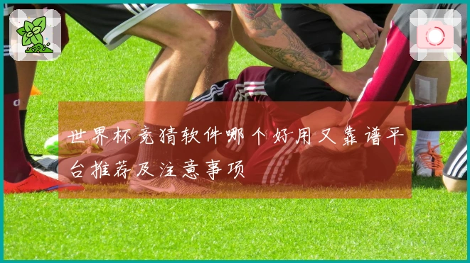 世界杯竞猜软件哪个好用又靠谱平台推荐及注意事项