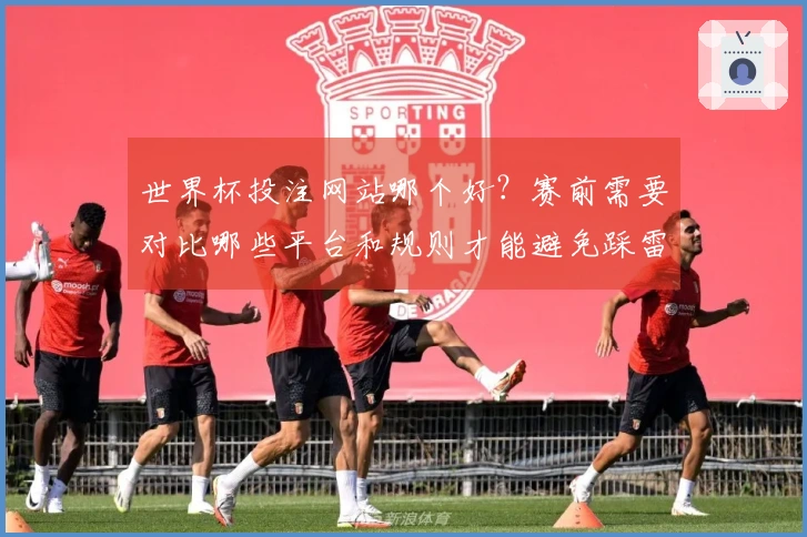 世界杯投注网站哪个好？赛前需要对比哪些平台和规则才能避免踩雷