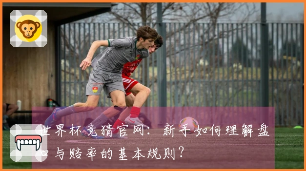 世界杯竞猜官网：新手如何理解盘口与赔率的基本规则？