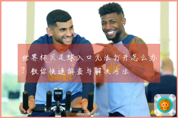 世界杯买足球入口无法打开怎么办？教你快速排查与解决方法