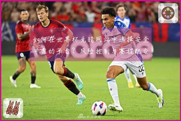 如何在世界杯竞猜网站中选择安全可靠的平台？风险控制与赛程配合需注意哪些关键事项？