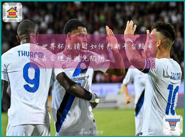 买世界杯竞猜时如何判断平台赔率是否合理并避免陷阱