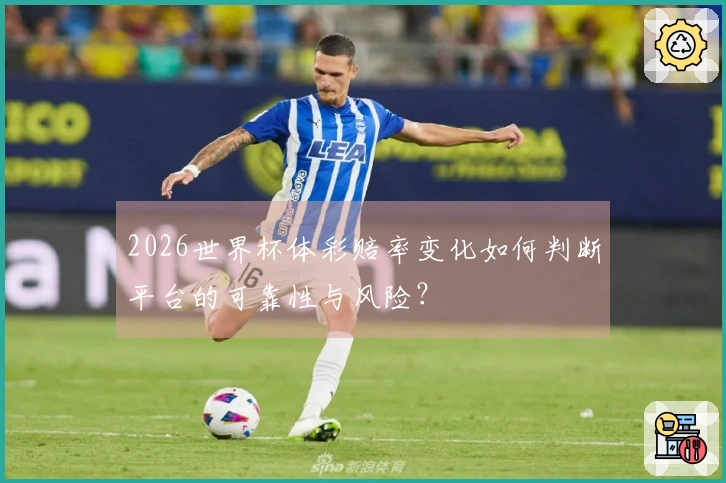 2026世界杯体彩赔率变化如何判断平台的可靠性与风险？