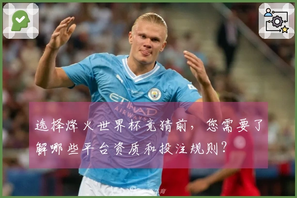 选择烽火世界杯竞猜前，您需要了解哪些平台资质和投注规则？