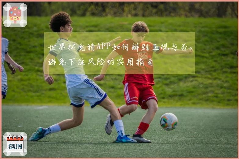世界杯竞猜APP如何辨别正规与否，避免下注风险的实用指南