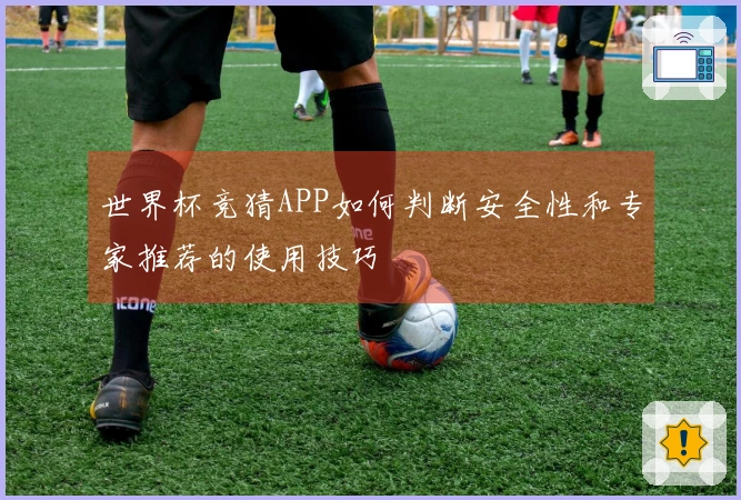世界杯竞猜APP如何判断安全性和专家推荐的使用技巧