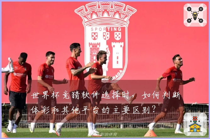 世界杯竞猜软件选择时，如何判断体彩和其他平台的主要区别？