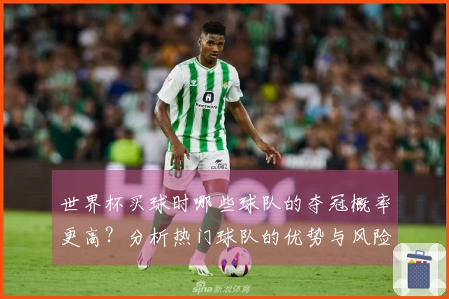 世界杯买球时哪些球队的夺冠概率更高？分析热门球队的优势与风险