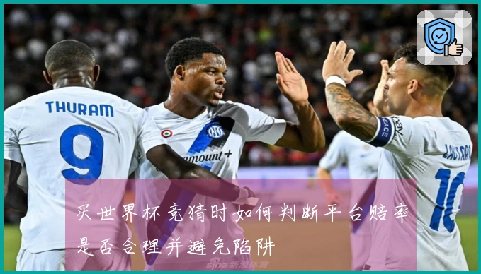 买世界杯竞猜时如何判断平台赔率是否合理并避免陷阱